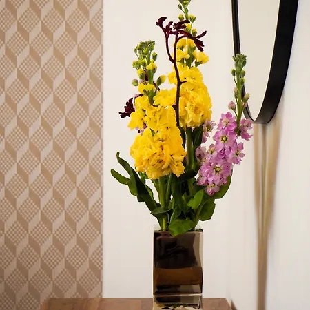 Rasinovo Nabrezi - Riverside Hotel apartamentowy 4*